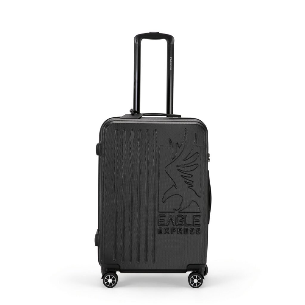 Superior ABS Hard Check-in Luggage | 24 inches